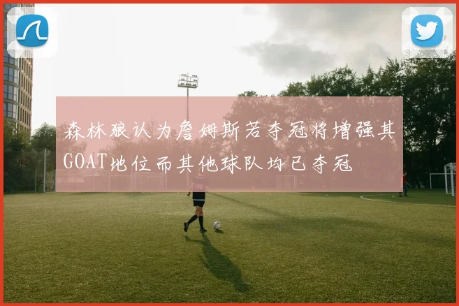 森林狼认为詹姆斯若夺冠将增强其GOAT地位而其他球队均已夺冠